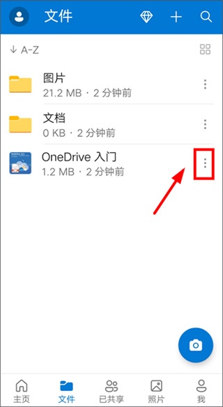 SkyDrive