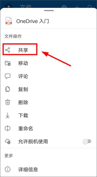 SkyDrive