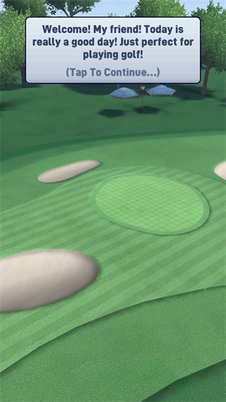 高尔夫大师3D