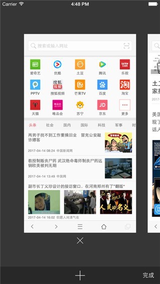 VIP浏览器截图2