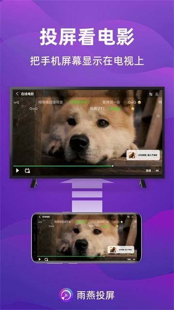 雨燕投屏截图4