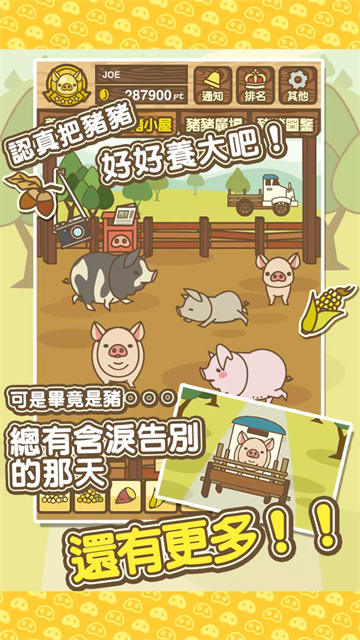 养猪场MIX截图4
