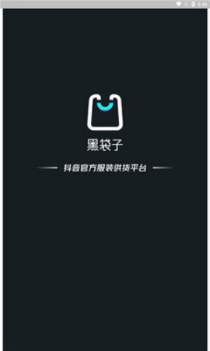 黑袋子