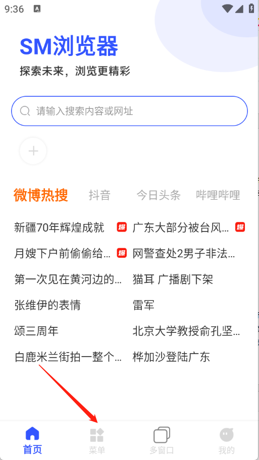 SM浏览器