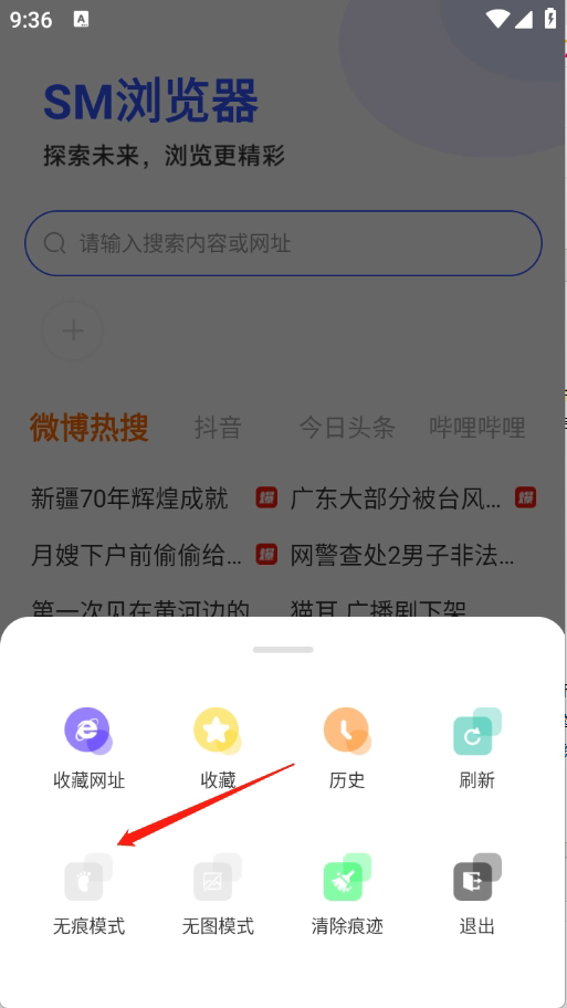 SM浏览器