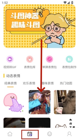 Quin壁纸