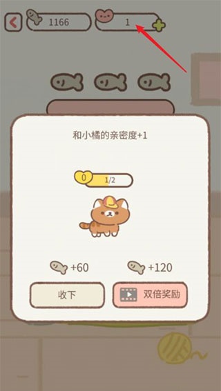 遇见你的猫国际服