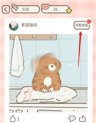 遇见你的猫国际服