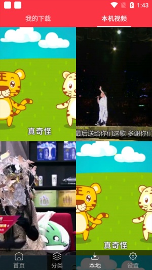 海豚动态壁纸