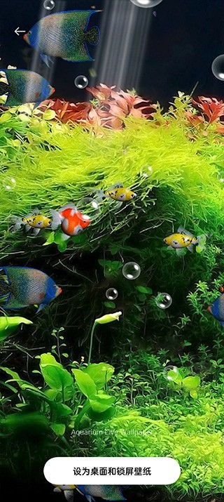 水族馆动态壁纸汉化版截图3