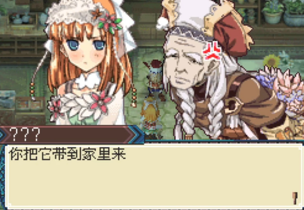 牧场物语符文工房3豪华版