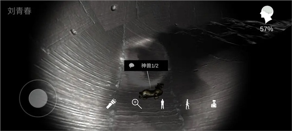 孙美琪疑案井底人