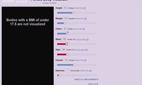 bodyvisualizer模拟器