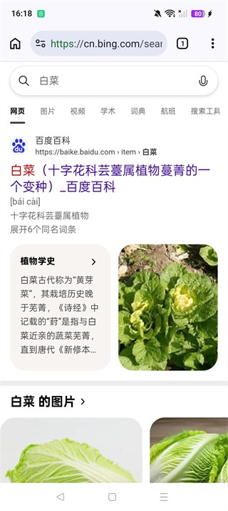 Cromite截图3