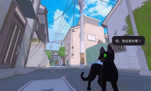 小猫咪大城市手机版截图3