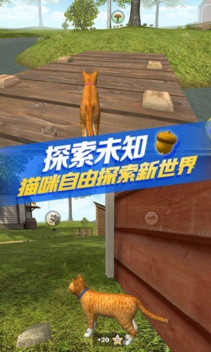 猫咪生存模拟器截图0