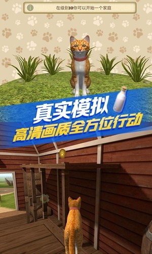 猫咪生存模拟器截图1