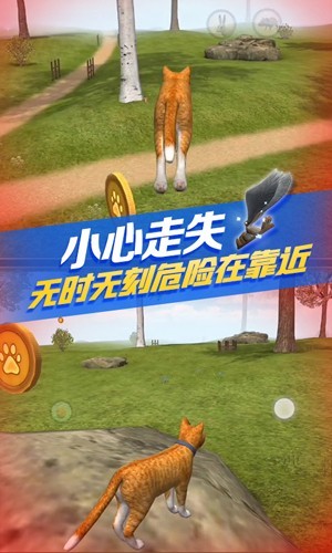 猫咪生存模拟器截图3