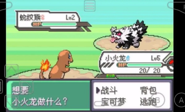 口袋妖怪西班牙火箭队