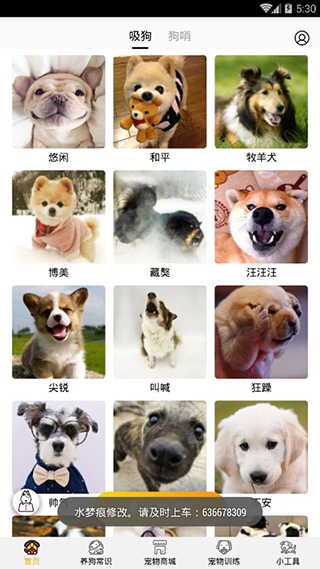 狗狗翻译器
