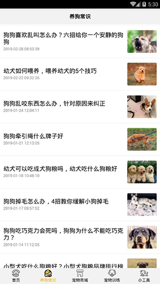 狗狗翻译器