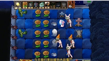 植物大战僵尸疯狂版