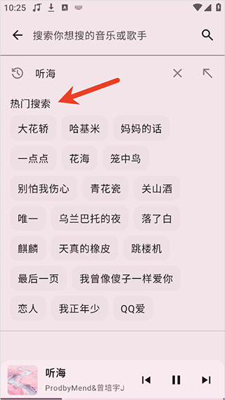 听海音乐车机版