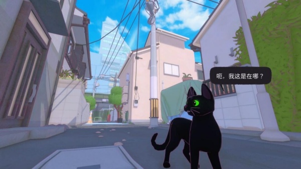 小猫咪大城市
