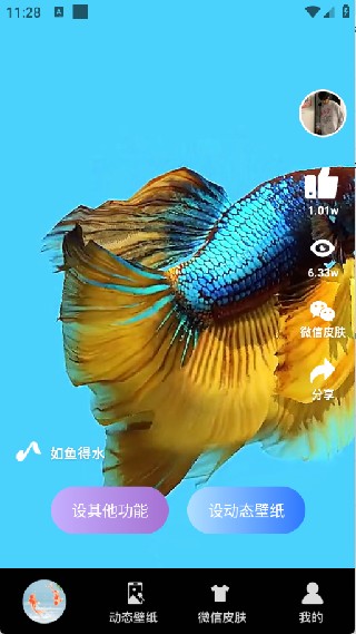 动态养鱼壁纸手机版