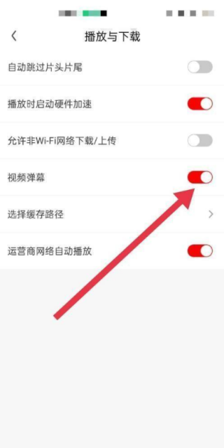 爱奇艺弹幕开关在哪 弹幕开关不见了