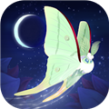 彩翼之星夜