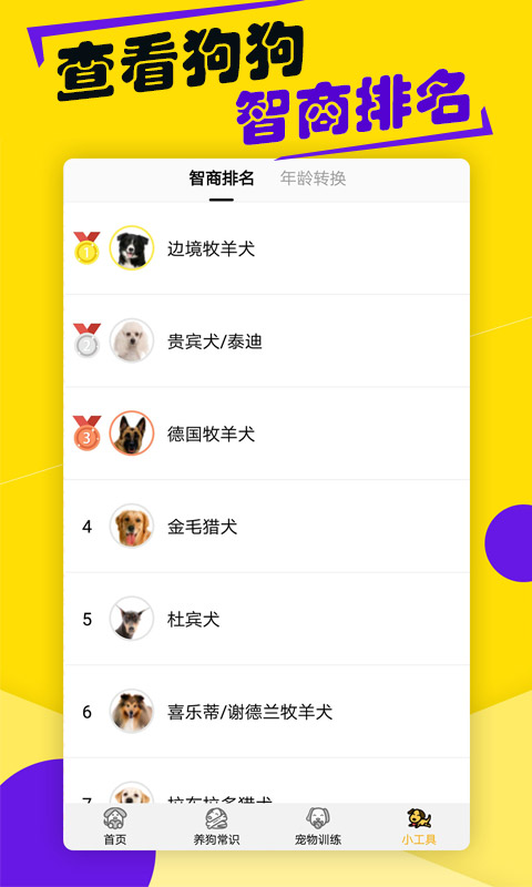 狗语翻译器中文版截图1