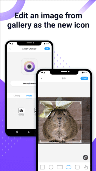 XIconChanger汉化版截图4