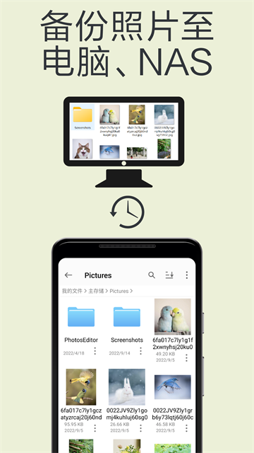 猫头鹰文件谷歌版截图3