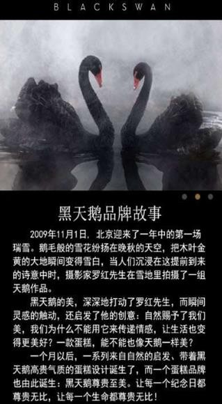 黑天鹅蛋糕