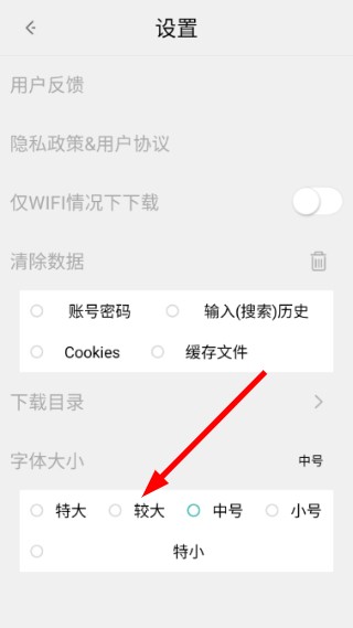 闪电浏览器旧版