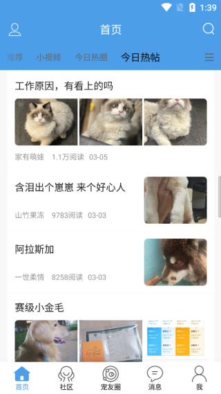 宠物之家