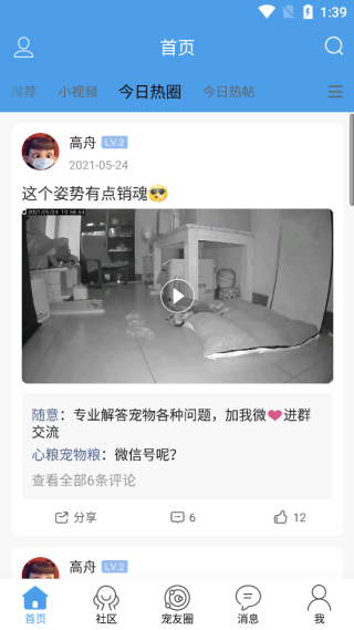宠物之家
