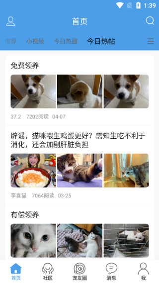 宠物之家