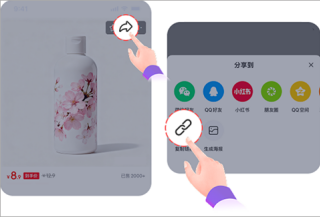 成分喵