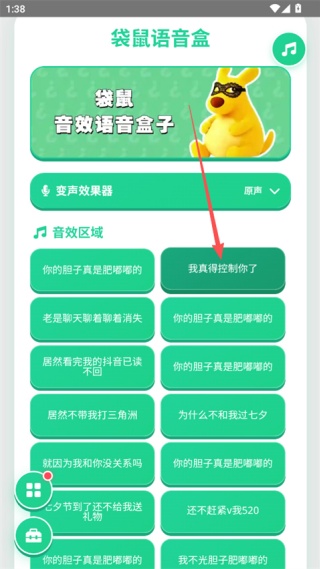 袋鼠语音盒
