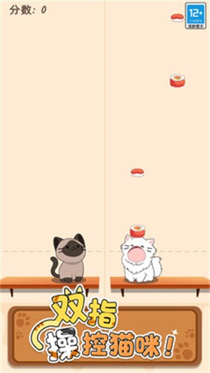 猫咪二重奏截图1