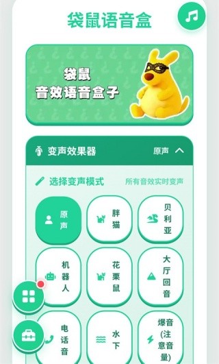 袋鼠语音盒截图5