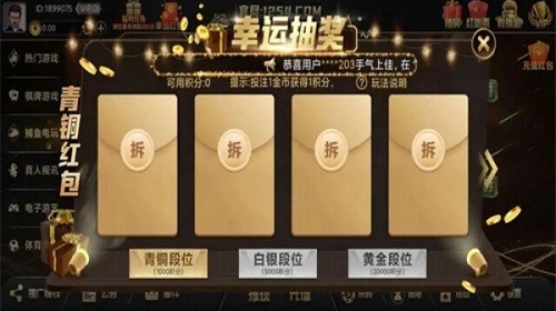 王者牌棋9988cc