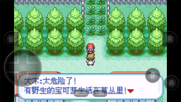 口袋妖怪火红萌娘版