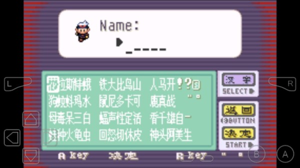 口袋妖怪红宝石随机版