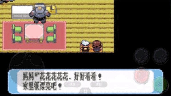 口袋妖怪红宝石随机版截图0