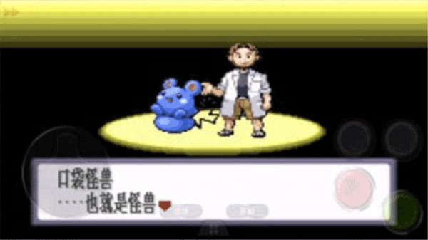 口袋妖怪红宝石随机版截图3