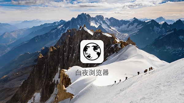 白夜浏览器截图3