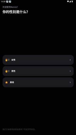 Remini油画汉化版